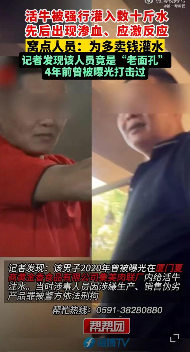 十斤水！多部分开展执法行动为多卖钱活牛被强行灌入数(图2)