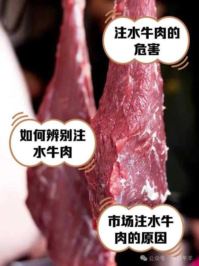 十斤水！多部分开展执法行动为多卖钱活牛被强行灌入数(图3)